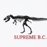 Supreme B.C. S S Top (FW22) - White