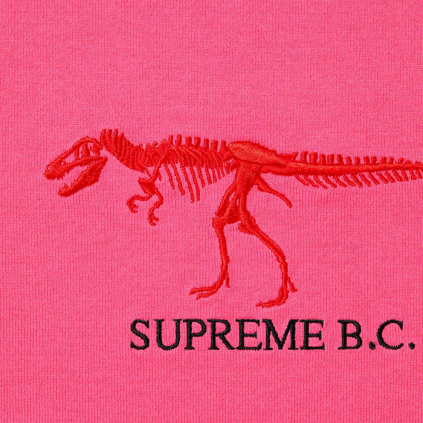 Supreme B.C. S S Top (FW22) - Bright Pink - $68