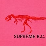 Supreme B.C. S S Top (FW22) - Bright Pink