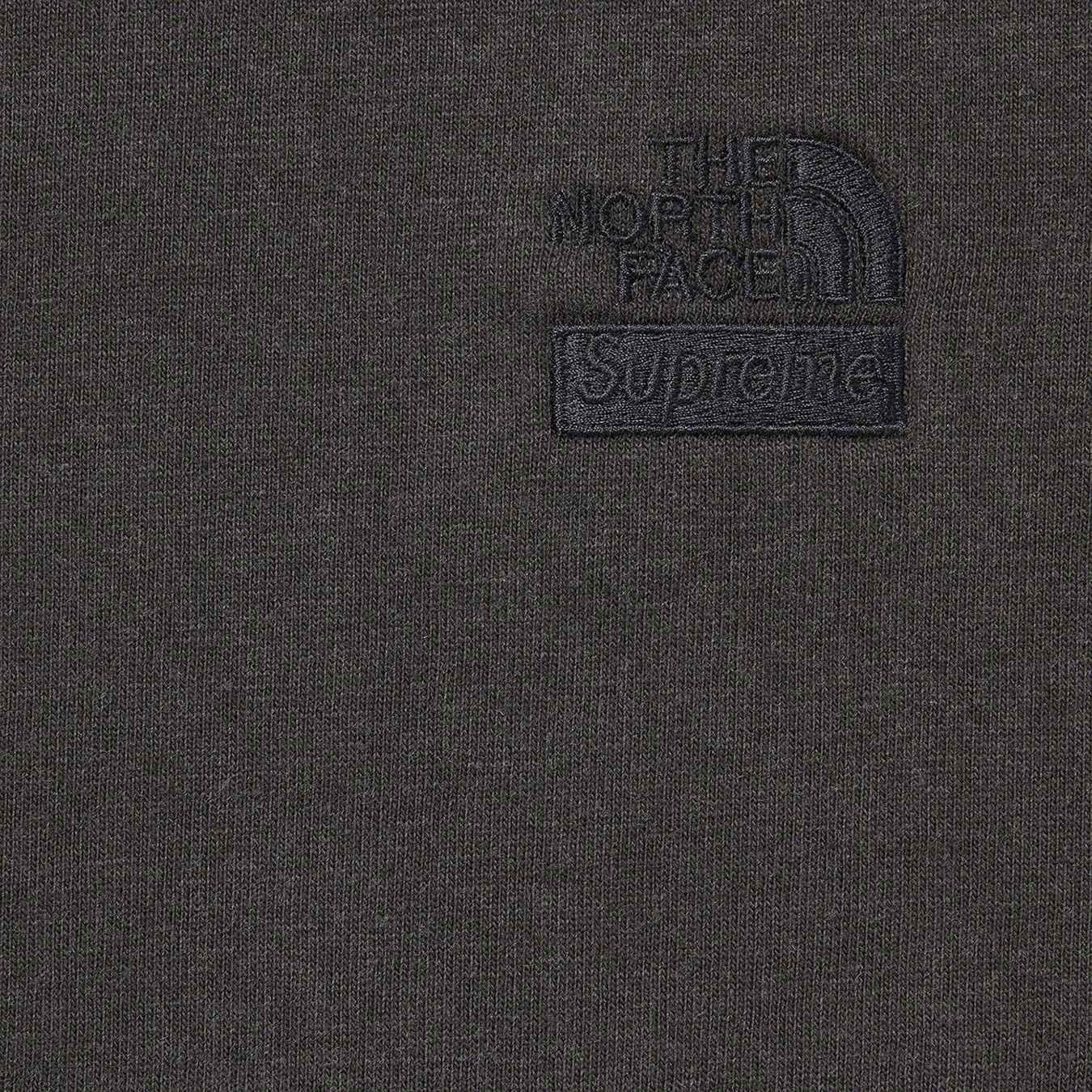 Supreme Supreme The North Face Pigment Printed L S Top (FW22) - Black - $68