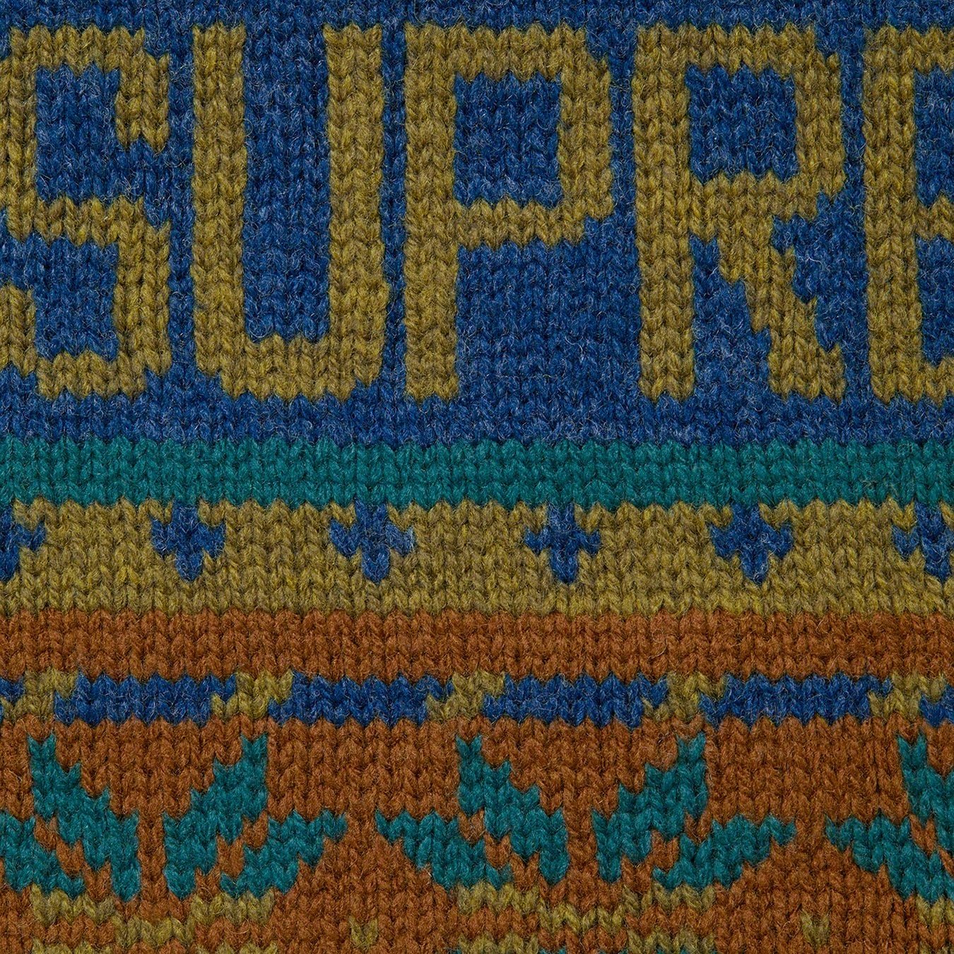 Supreme Supreme The North Face Zip Up Hooded Sweater (FW22) - Olive - $238