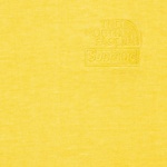 Supreme Supreme The North Face Pigment Printed L S Top (FW22) - Yellow