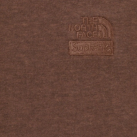 Supreme Supreme®/The North Face® Pigment Printed L/S Top - Brown