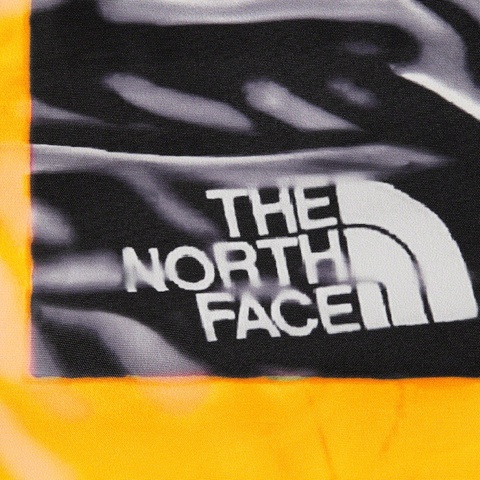 Supreme Supreme®/The North Face® Trompe L’oeil Printed Taped Seam Shell Jacket - Yellow