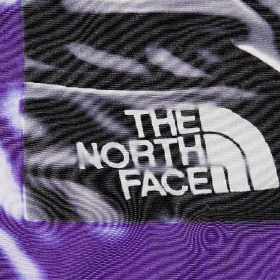 Supreme Supreme The North Face Trompe L’oeil Printed Taped Seam Shell Jacket (SS23) - Purple - $398