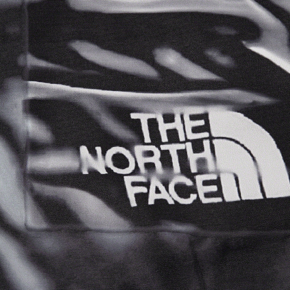 Supreme Supreme The North Face Trompe L’oeil Printed Taped Seam Shell Jacket (SS23) - Black - $398