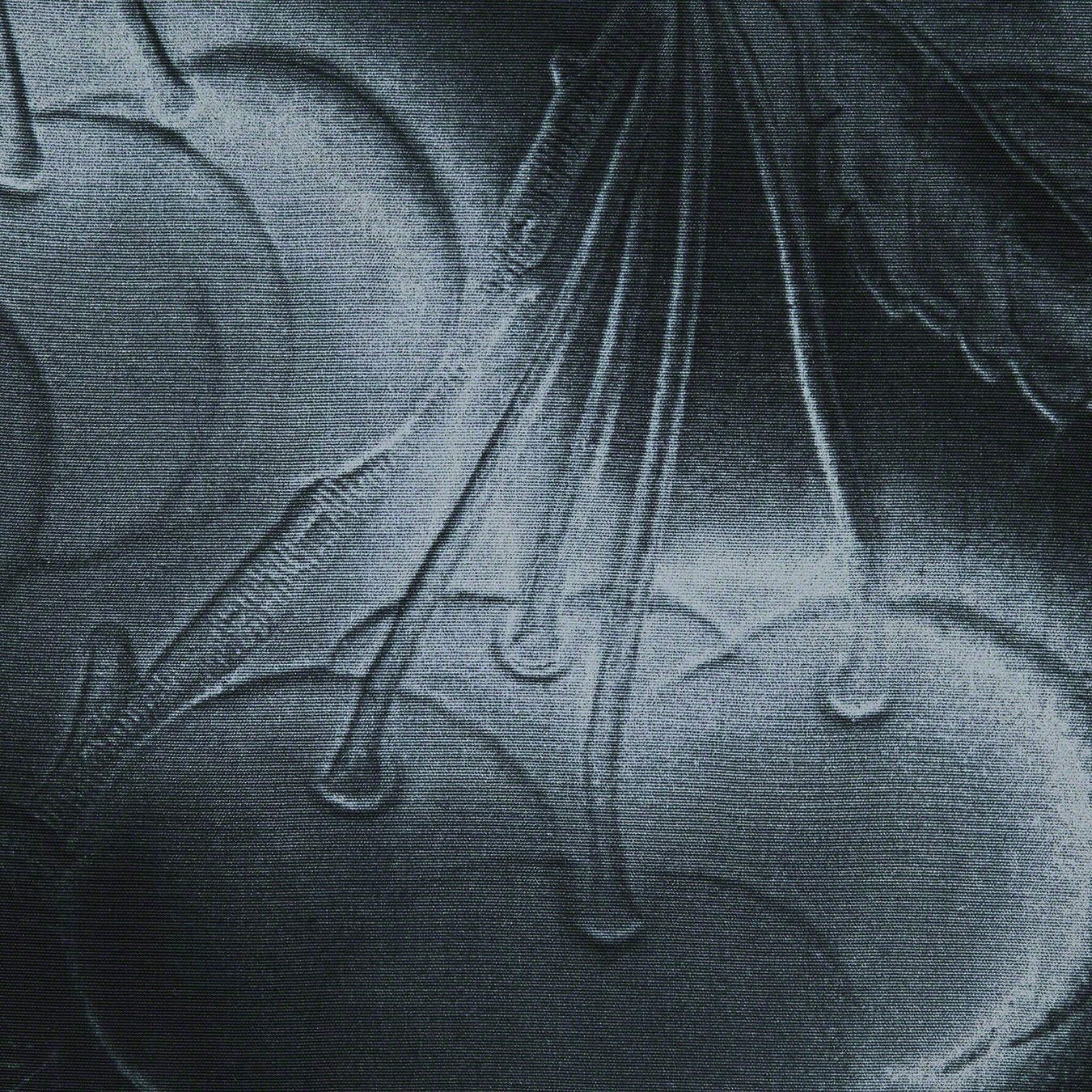 Supreme Cherries S S Shirt (SS23) - Black - $148