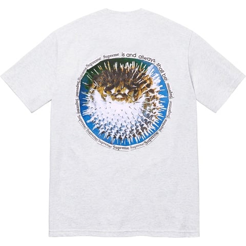 Supreme Blowfish Tee - Ash Grey