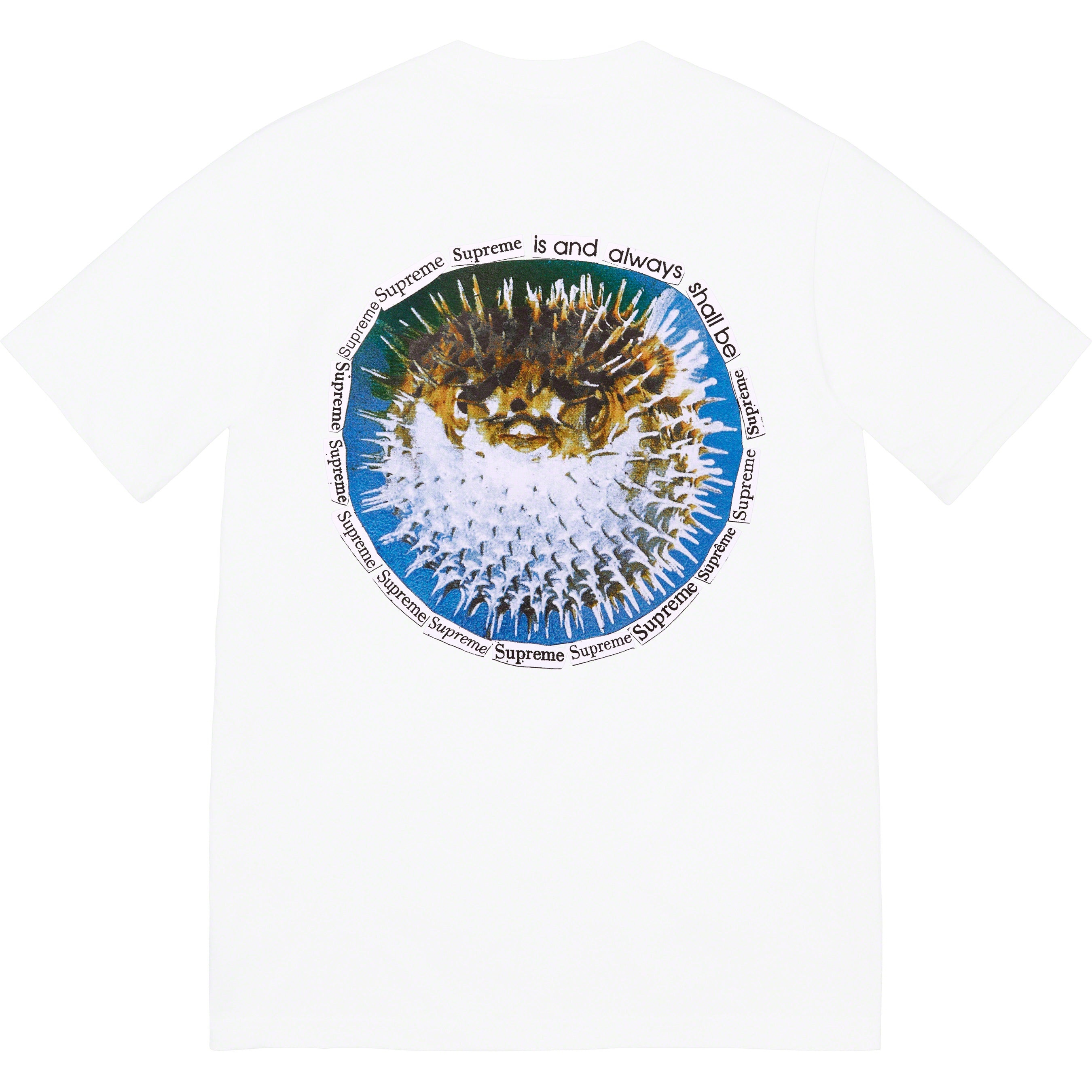 Supreme Blowfish Tee (SS23) - White - $40