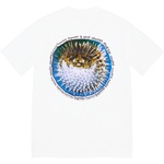 Supreme Blowfish Tee (SS23) - White
