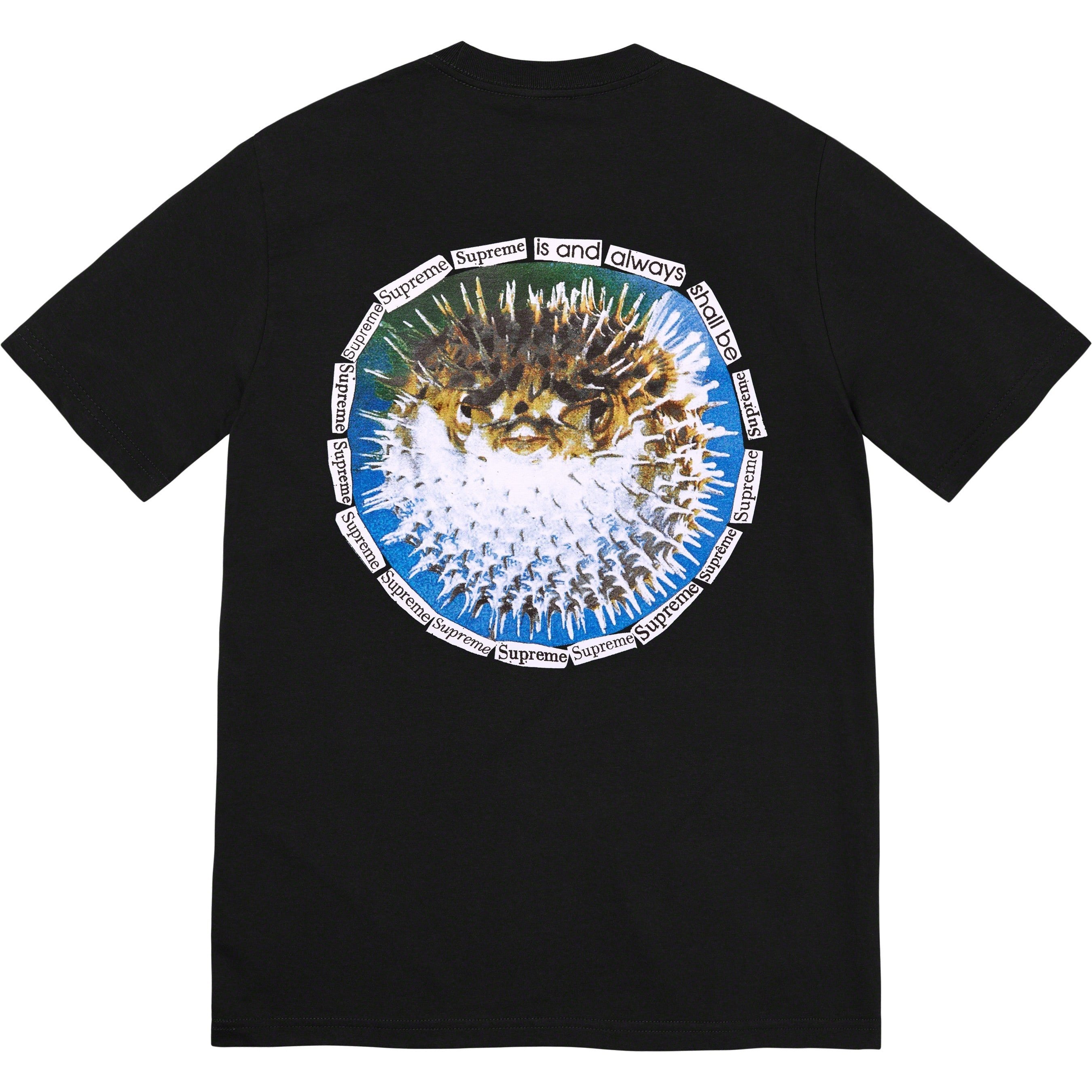 Supreme Blowfish Tee (SS23) - Black - $40