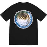 Supreme Blowfish Tee (SS23) - Black