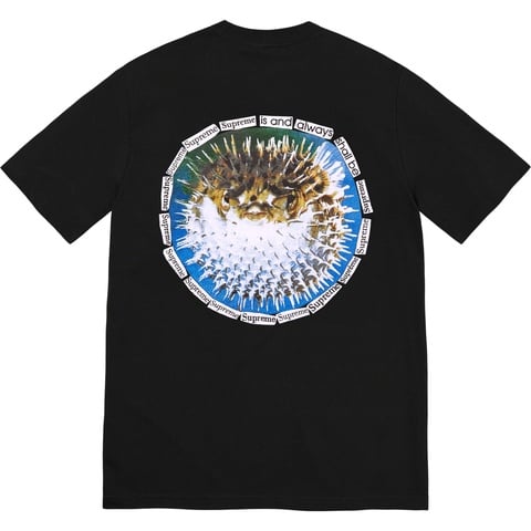 Supreme Blowfish Tee - Black
