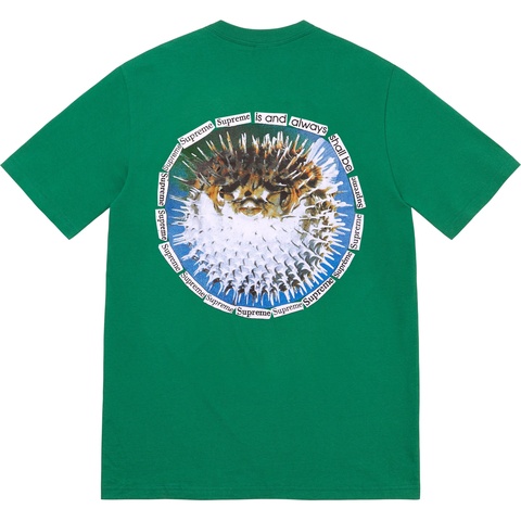 Supreme Blowfish Tee - Light Pine