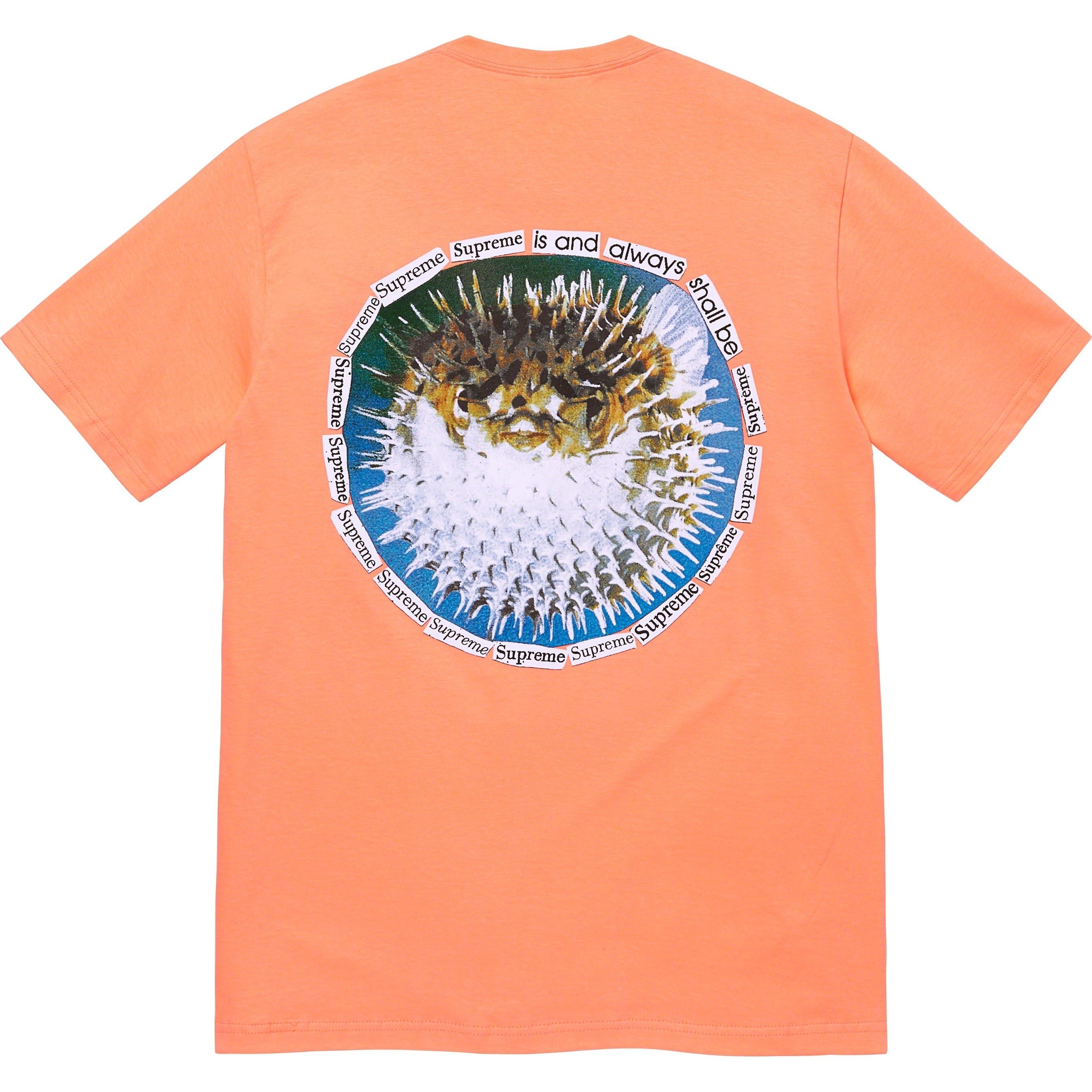 Supreme Blowfish Tee (SS23) - Peach - $40