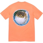 Supreme Blowfish Tee (SS23) - Peach