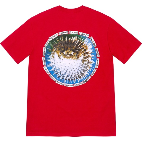 Supreme Blowfish Tee - Red