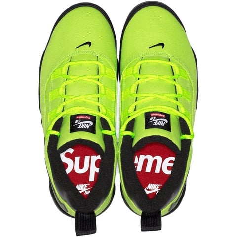 Supreme Supreme®/Nike SB Darwin Low - nikesb_darwin_lowsb_8