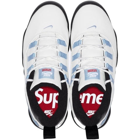 Supreme Supreme®/Nike SB Darwin Low - nikesb_darwin_lowsb_5
