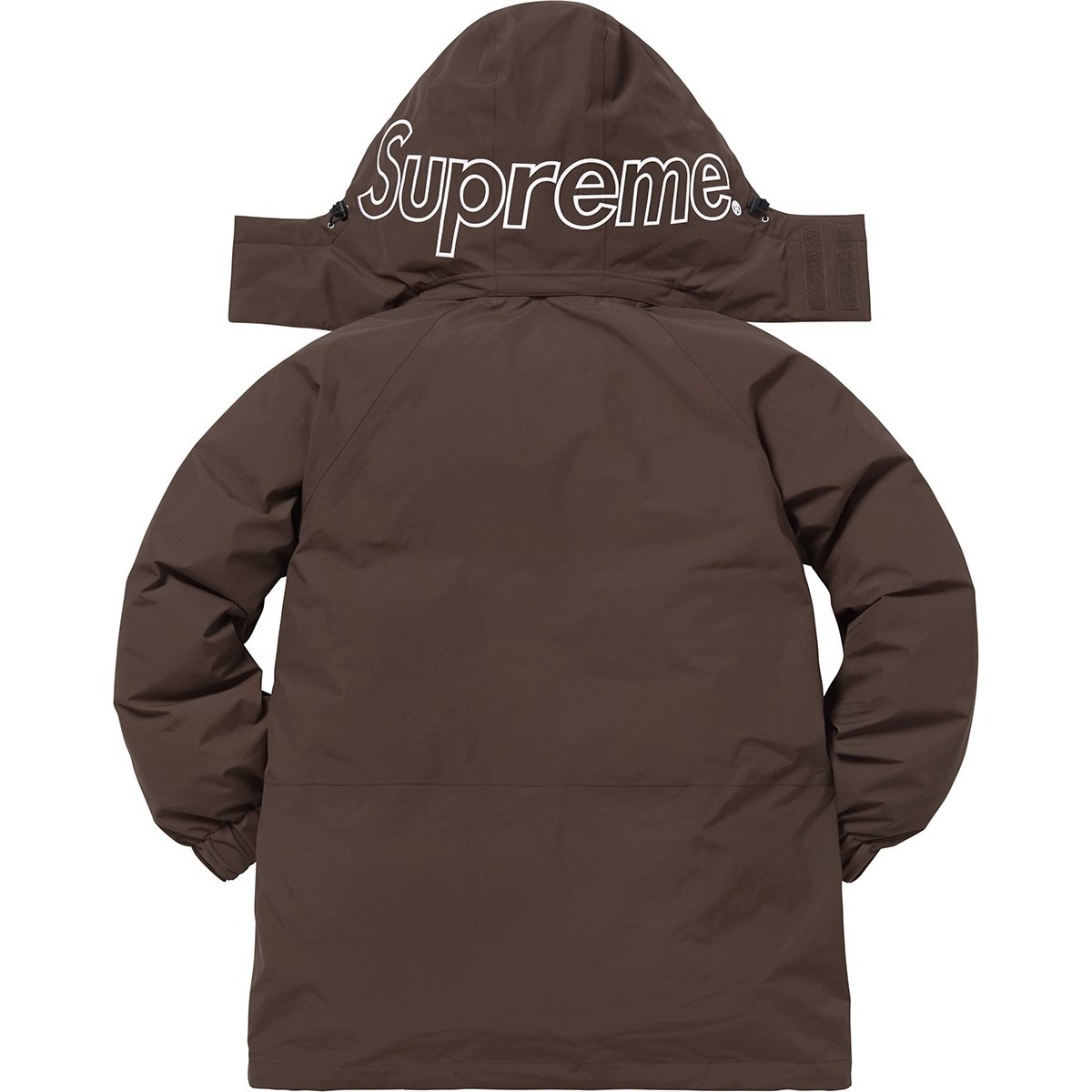Supreme GORE-TEX 700-Fill Down Parka (FW18) - $648