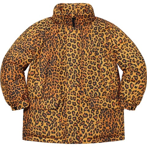 Supreme GORE-TEX 700-Fill Down Parka - Colorway