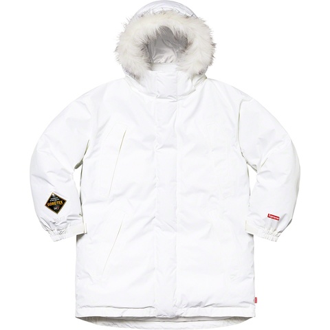 Supreme GORE-TEX 700-Fill Down Parka - Colorway