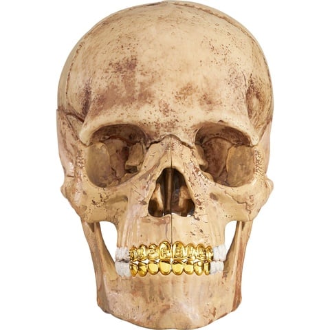 Supreme 4D Model Human Skull - Colorway