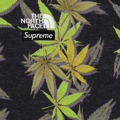 Supreme Supreme®/The North Face® Leaf Hooded Sweatshirt - Black