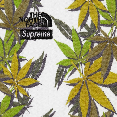Supreme Supreme®/The North Face® Leaf Hooded Sweatshirt - White