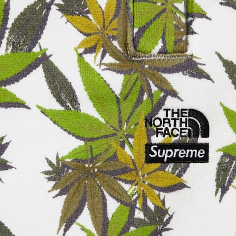 Supreme®/The North Face® Leaf Sweatpant - Supreme