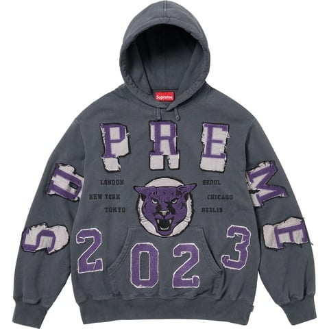 Supreme Washed Panther Hooded Sweatshirt - Black