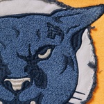 Supreme Washed Panther Hooded Sweatshirt (FW23) - Dusty Gold