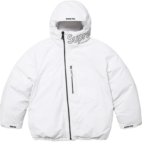 Supreme GORE-TEX 700-Fill Down Parka - Colorway