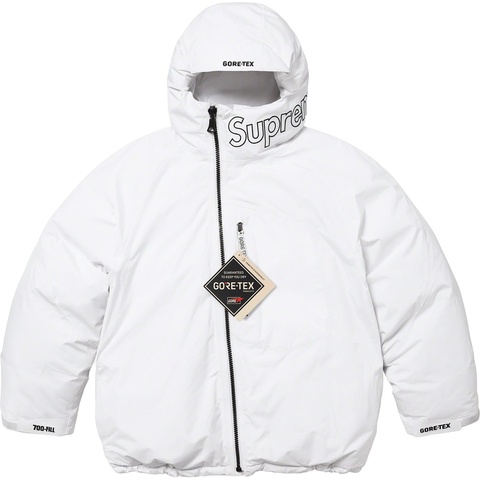Supreme GORE-TEX 700-Fill Down Parka - Colorway