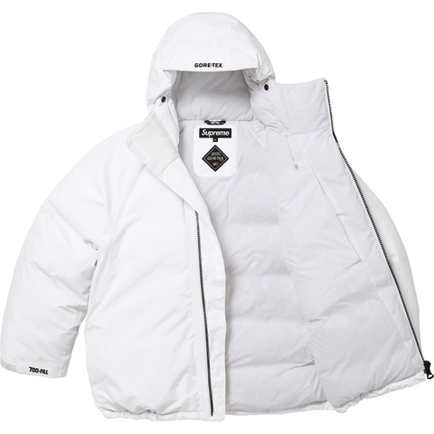 Supreme GORE-TEX 700-Fill Down Parka - Colorway