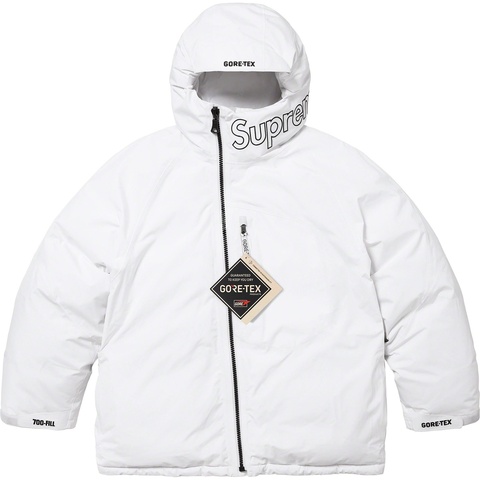 Supreme GORE-TEX 700-Fill Down Parka - Colorway