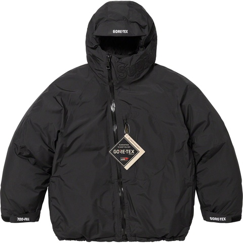 Supreme GORE-TEX 700-Fill Down Parka - Colorway