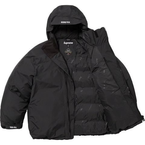 Supreme GORE-TEX 700-Fill Down Parka - Colorway