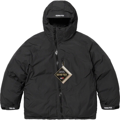 Supreme GORE-TEX 700-Fill Down Parka - Colorway
