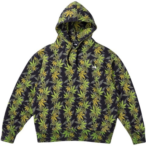 シュプリーム Supreme×THE NORTH FACE Leaf フーディ Supreme®/The North Face® Leaf Hooded Sweatshirt - Supreme