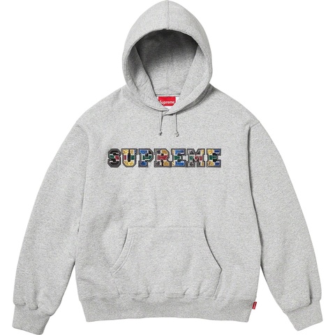 Collegiate Patchwork Leather Hooded Sweatshirt - Supreme