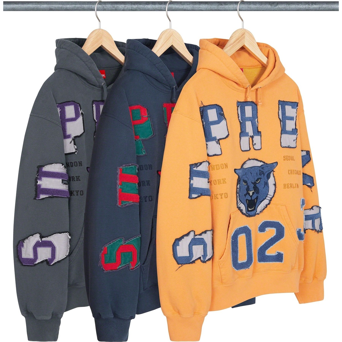 Washed Panther Hooded Sweatshirt - Supreme