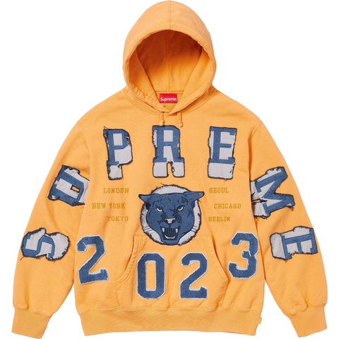 Washed Panther Hooded Sweatshirt - Supreme