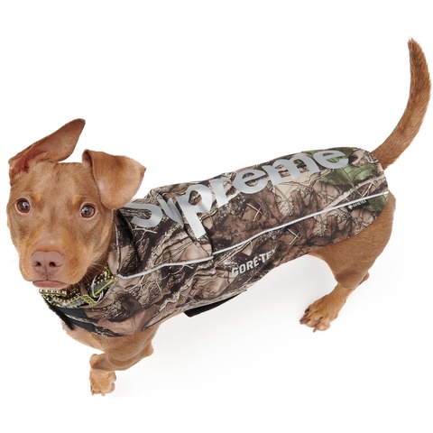 GORE-TEX Dog Jacket - fall/winter 2024 - Supreme