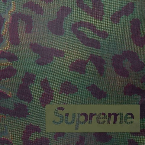 Supreme 700-Fill Down Lightweight Puffer Jacket - Leopard