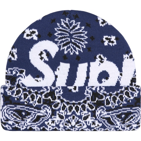 Big Logo Beanie - fall/winter 2024 - Supreme