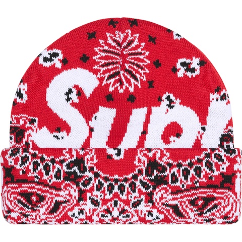 Big Logo Beanie - fall/winter 2024 - Supreme