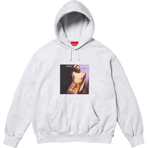 Supreme Jane's Addiction Hooded Sweatshirt - Ash Grey