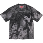 Supreme Snow White S S Top (FW24) - Grey