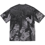 Supreme Snow White S S Top (FW24) - Grey